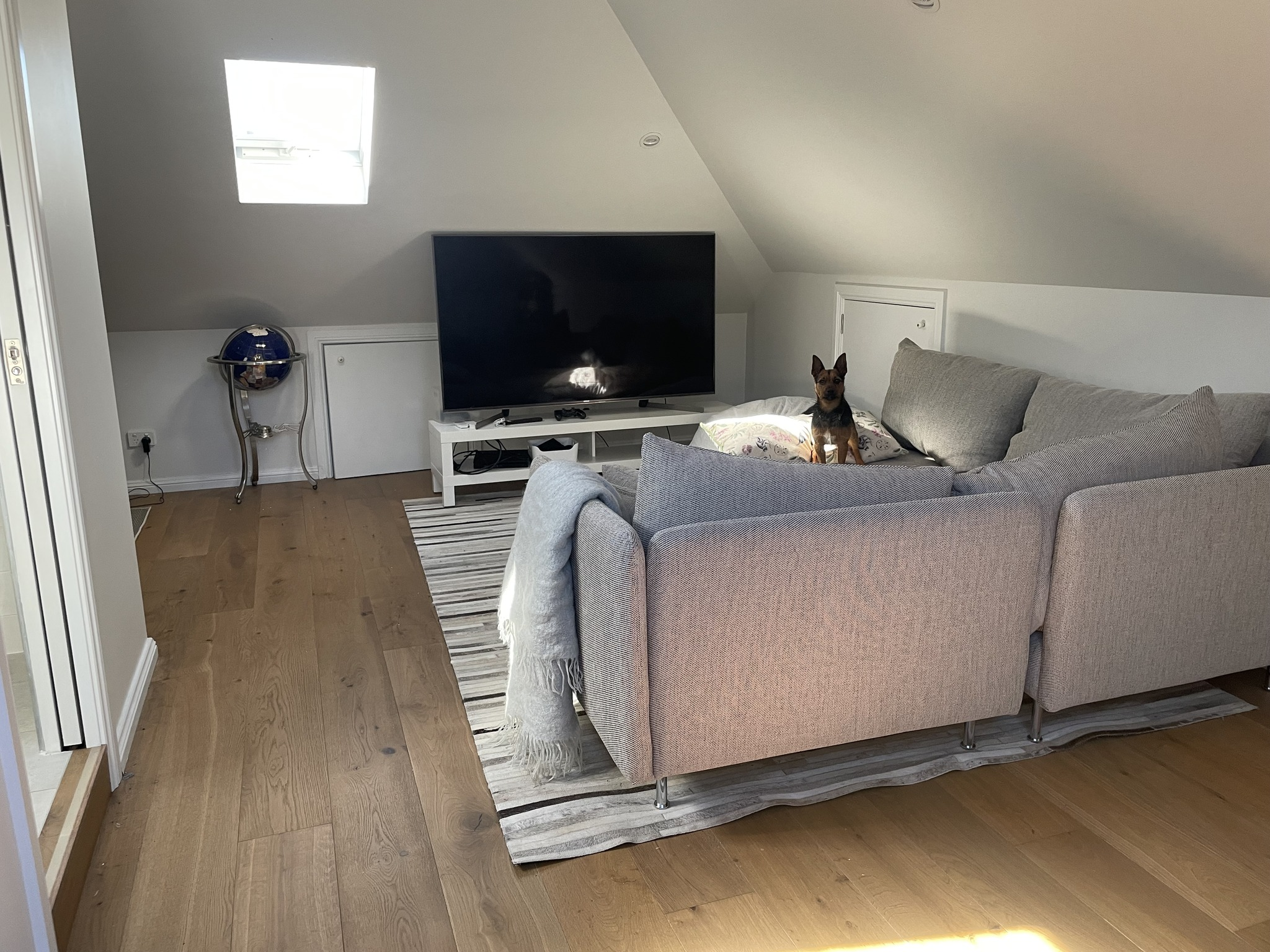 Drummoyne attic lounge with TV, sofa and skylight